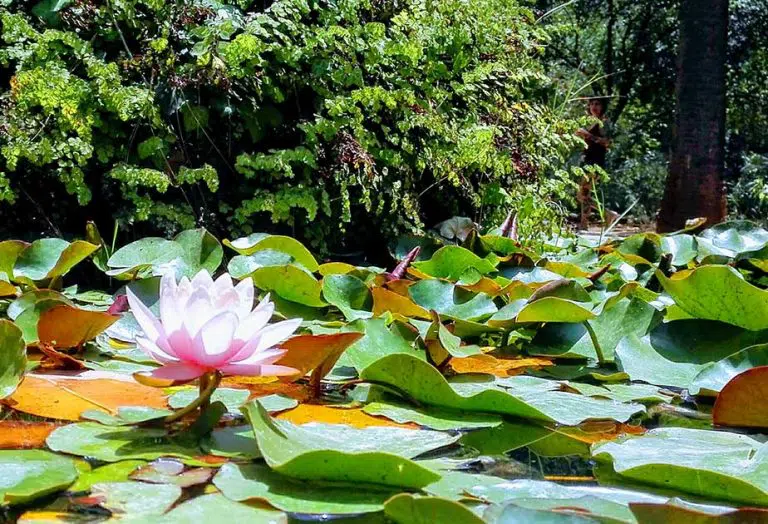 Sicilia-delle-meraviglie-gallery-8-min