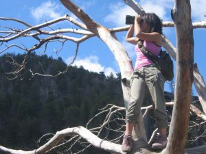 Contatti Sicilia delle meraviglie